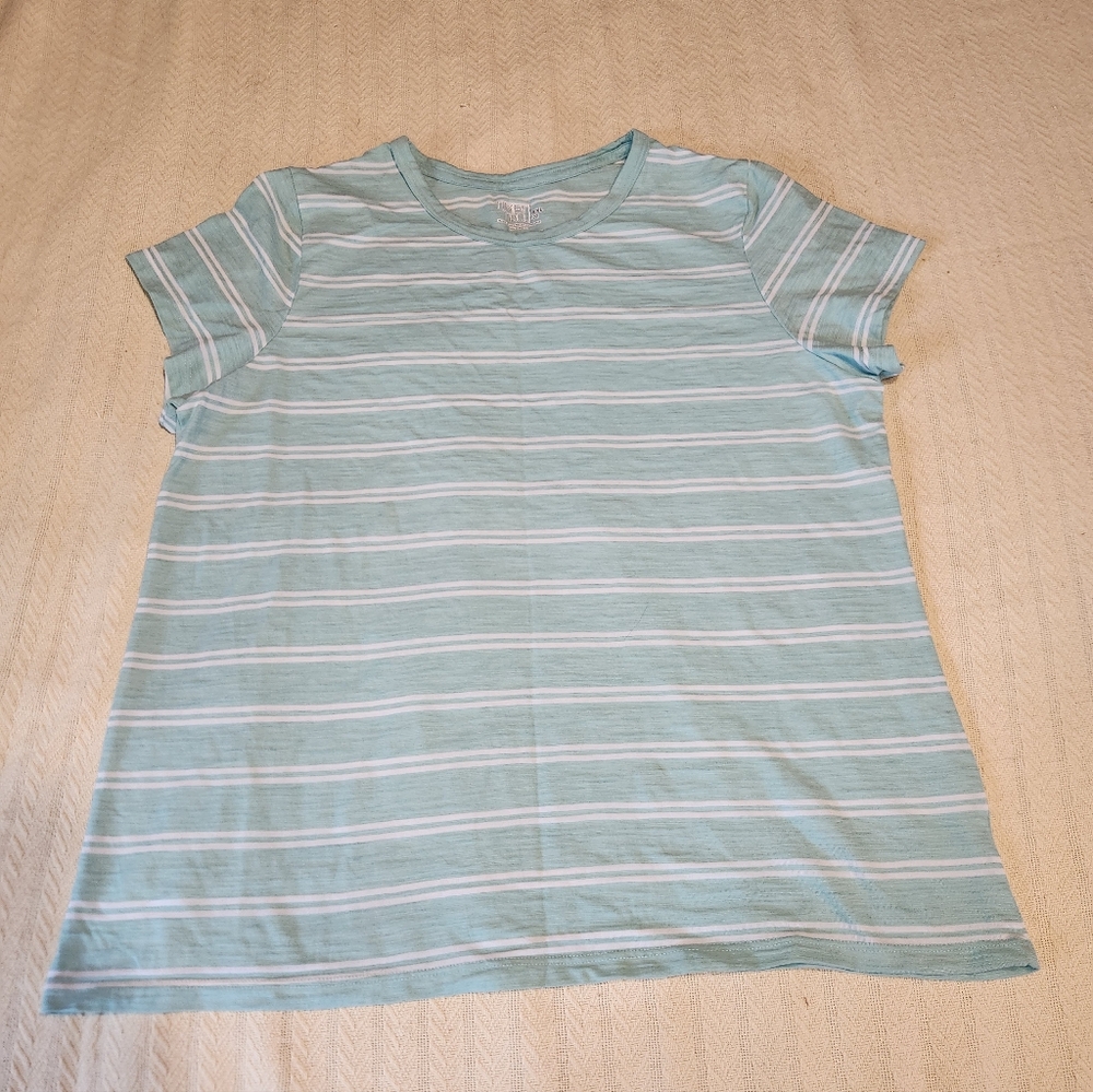 Time and Tru Light Blue and White Striped Tee XXL